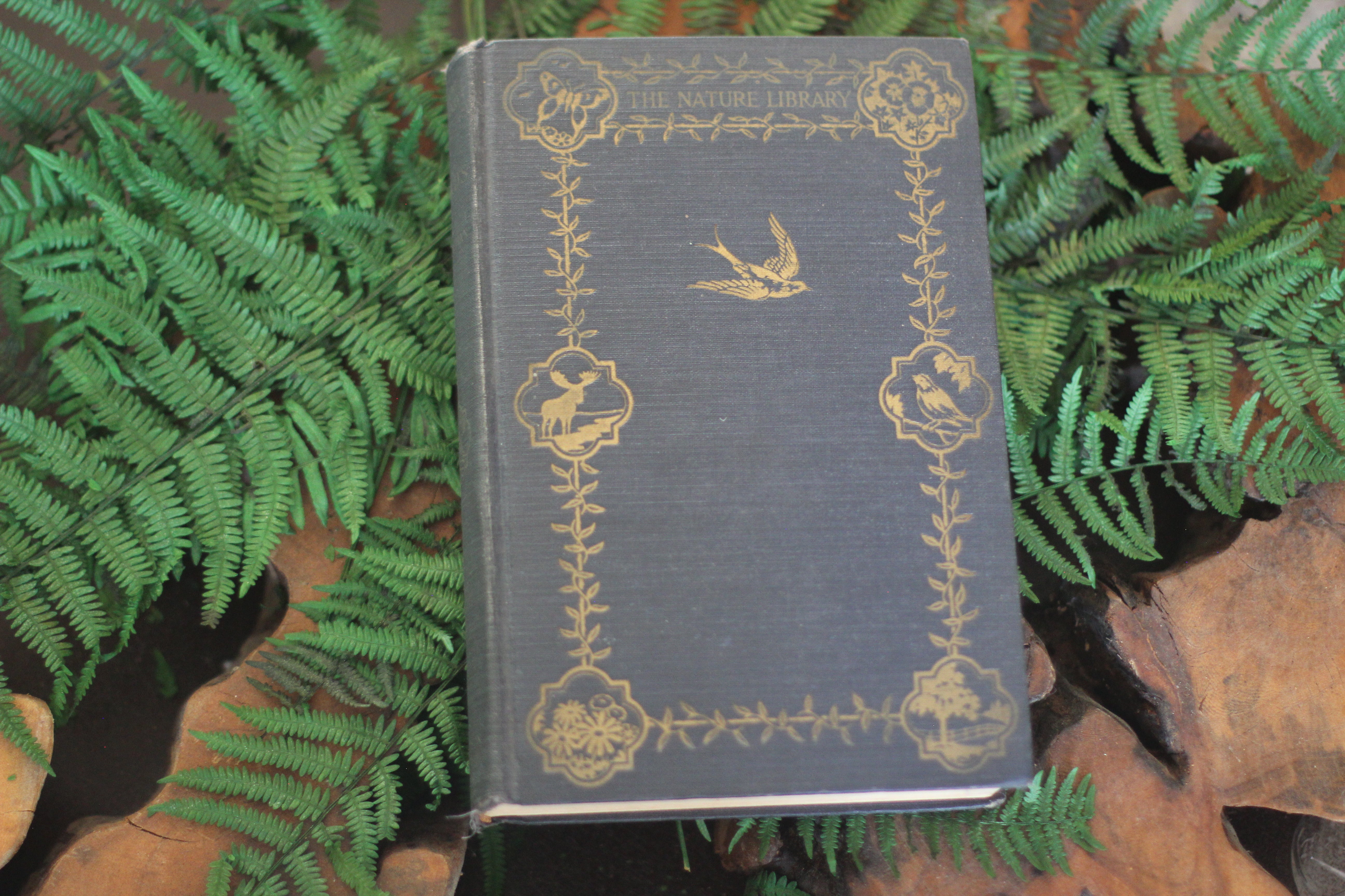 Antique Book The Nature Library Birds by Neltje Blanchan HC 1927 Illustrated