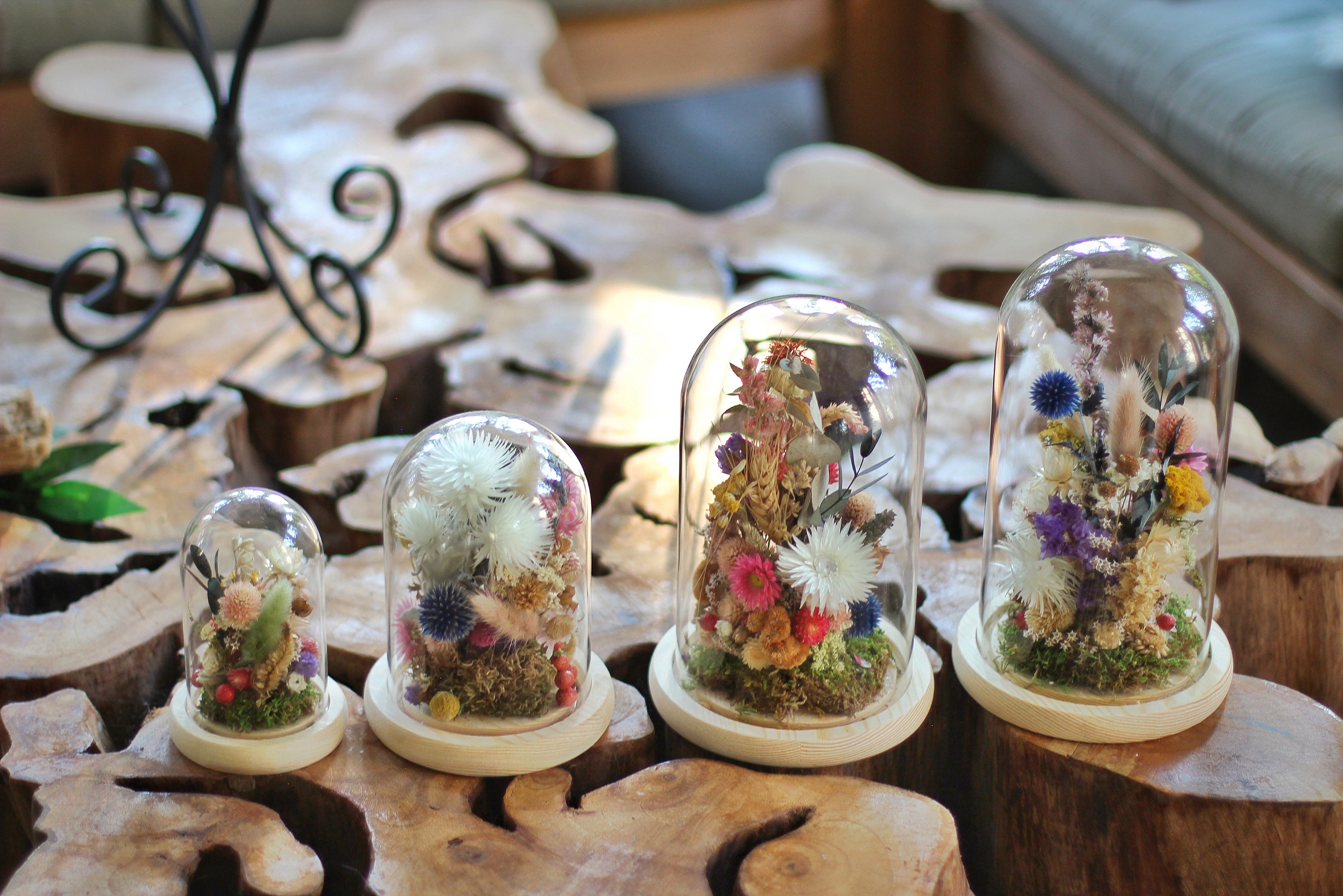 Medium Dried Flowers Glass Dome / Cloche