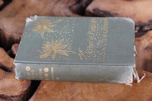 Antique Book: 1882 First Editin Book: An Echo Of Passion By George P. Lathrop, Boston HC. Hardback.