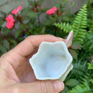 Antique Butterfly Porcelain Tea Cup