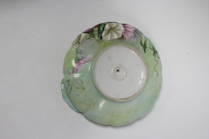 Vintage Floral Ipomoea Porcelain Plate