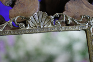 Antique Seashells Rectangle Mirror Tray