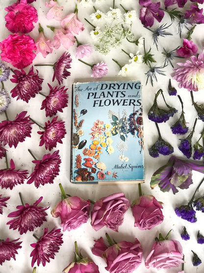 Vintage Book, The Art of Drying Plants and Flowers by Mabel Squires (1958, Hardback)