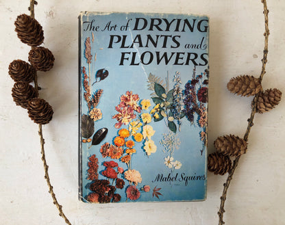 Vintage Book, The Art of Drying Plants and Flowers by Mabel Squires (1958, Hardback)